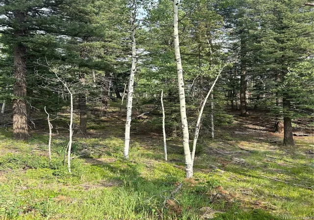 Photo 2 of Land for sale at 127 Rampart Cir, Florissant, CO 80816 | MLS# 2461636 | Listing updated on 2026-10-30