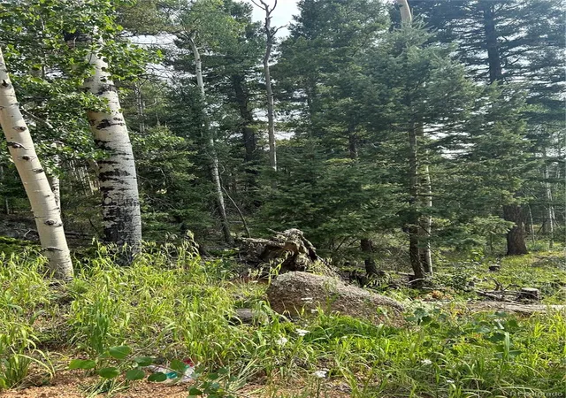 Photo 4 of Land for sale at 127 Rampart Cir, Florissant, CO 80816 | MLS# 2461636 | Listing updated on 2026-10-30