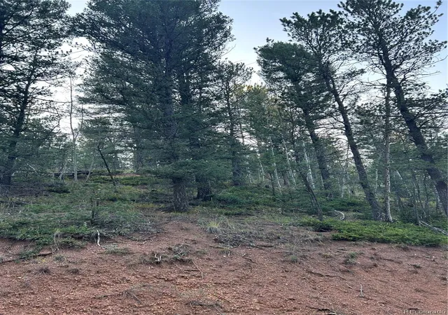 Land for sale at 83 Sodalite Dr, Divide, CO 80814 | MLS# 8254704