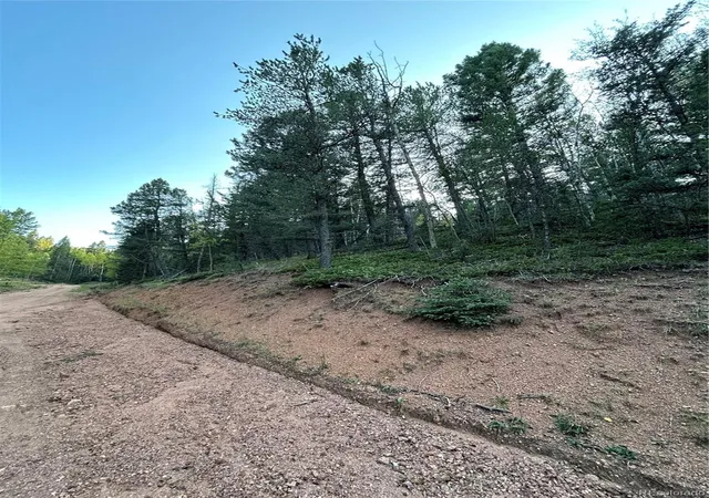 Photo 2 of Land for sale at 83 Sodalite Dr, Divide, CO 80814 | MLS# 8254704 | Listing updated on 2026-10-30