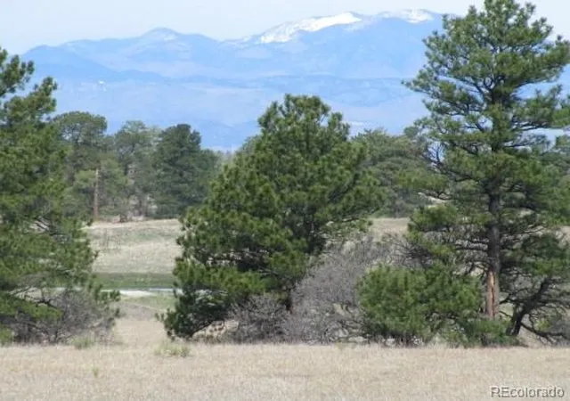 2nd image of 0 Betts Ranch Rd, Castle Rock, CO 80108 | MLS# 6216352