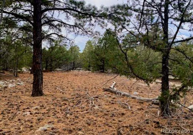 Homes for sale in Mosca, CO | Costilla Pl, Mosca, CO 81146 | MLS# 2070144