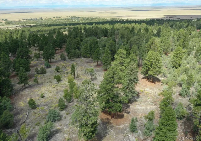 Homes for sale in Mosca, CO | Costilla Pl, Mosca, CO 81146 | MLS# 2070144