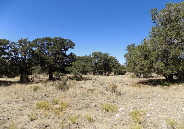 Photo 4 of Land for sale at Mill Run Rd, Mosca, CO 81146 | MLS# 7833393 | Listing updated on 2026-07-07