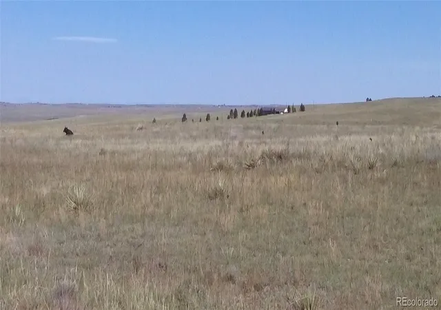 Photo 3 of Land for sale at 12115 Street Hwy 86, Kiowa, CO 80117 | MLS# 9113115 | Listing updated on 2024-09-25