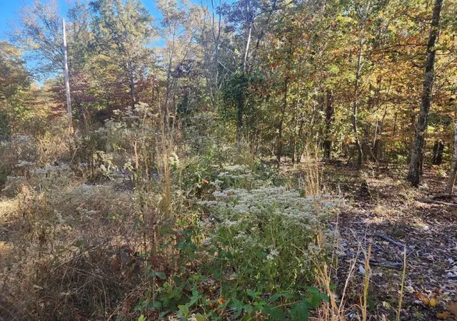 Homes for sale in Bella Vista, AR | Lot 2 Stoneykirk Dr, Bella Vista, AR 72715 | MLS# 1233745