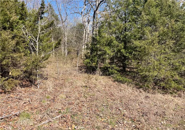 Homes for sale in Holiday Island, AR | 18 North Star Loop, Holiday Island, AR 72631 | MLS# 1242327