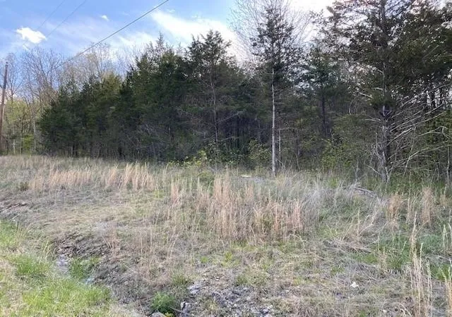 Homes for sale in Holiday Island, AR | 119 Thunderbird Dr #7, Holiday Island, AR 72631 | MLS# 1247316