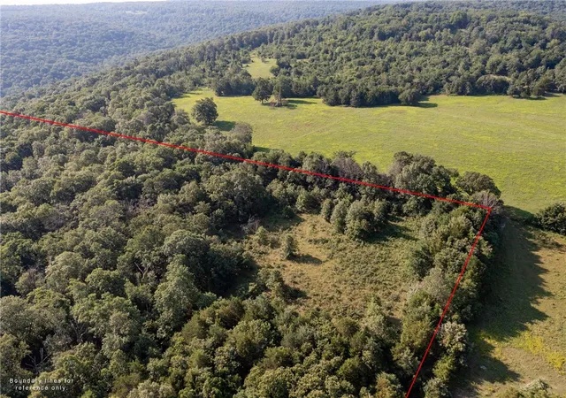 Homes for sale in Natural Dam, AR | 22132 Ray Wc 4425 Rd, Natural Dam, AR 72948 | MLS# 1252060