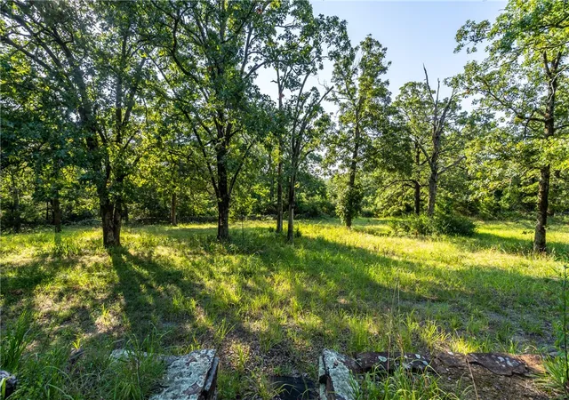 Photo 3 of Single family home for sale at 22132 Ray Wc 4425 Rd, Natural Dam, AR 72948 | MLS# 1252439 | Listing updated on 2026-09-21