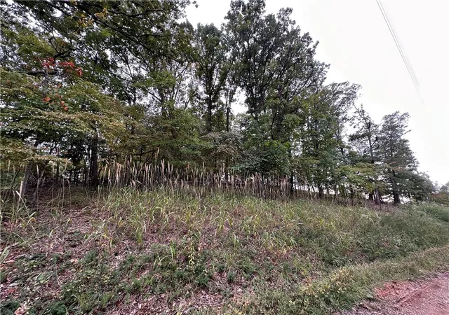 4th image of Lot 3 Silver Summit Rd, Holiday Island, AR 72631 | MLS# 1258210