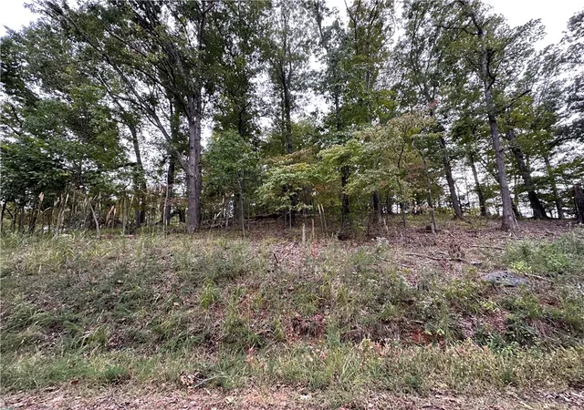 Homes for sale in Eureka Springs, AR | Lot 3 Silver Summit Rd, Eureka Springs, AR 72631 | MLS# 1258210