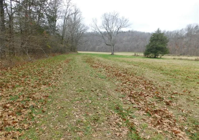 1st image of Nc 8330, Jasper, AR 72641 | MLS# 1263715