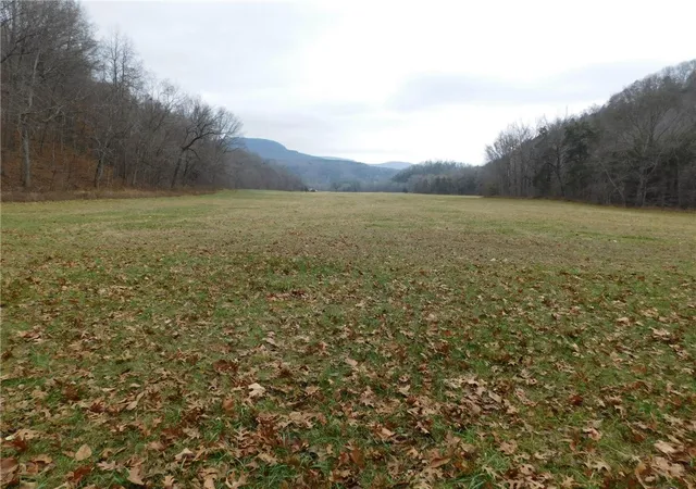 2nd image of Nc 8330, Jasper, AR 72641 | MLS# 1263715