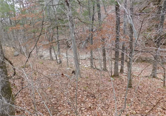 31st image of Nc 8330, Jasper, AR 72641 | MLS# 1263715