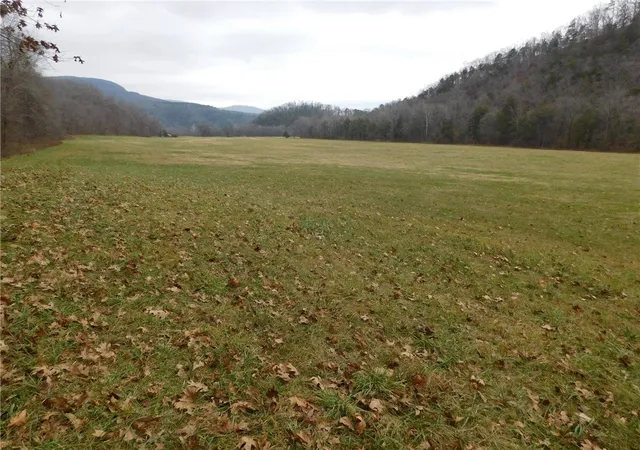 3rd image of Nc 8330, Jasper, AR 72641 | MLS# 1263715