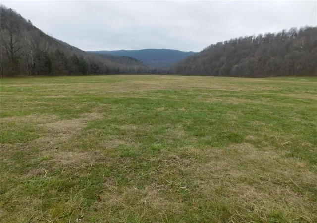 4th image of Nc 8330, Jasper, AR 72641 | MLS# 1263715