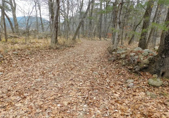 5th image of Nc 8330, Jasper, AR 72641 | MLS# 1263715