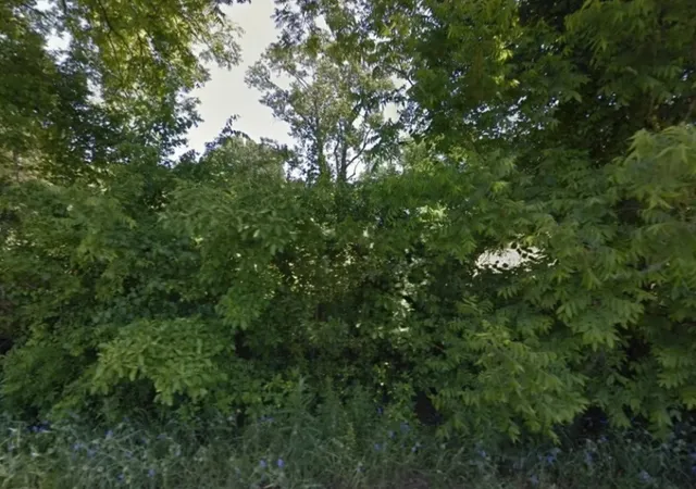 Photo 3 of Land for sale at Lot 6 N Alma St, Dermott, AR 71638 | MLS# 1266387 | Listing updated on 2026-06-04