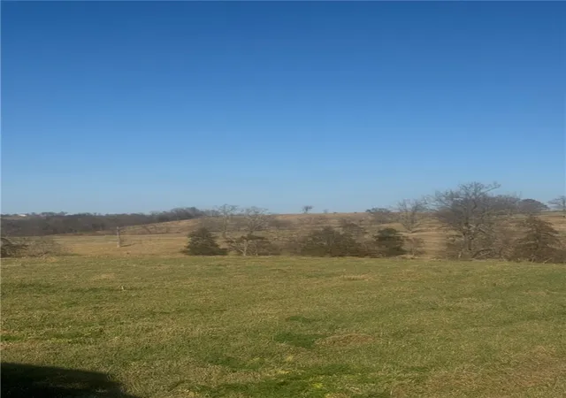 Photo 3 of Land for sale at 207 County Road 444, Berryville, AR 72616 | MLS# 1267917 | Listing updated on 2026-07-24