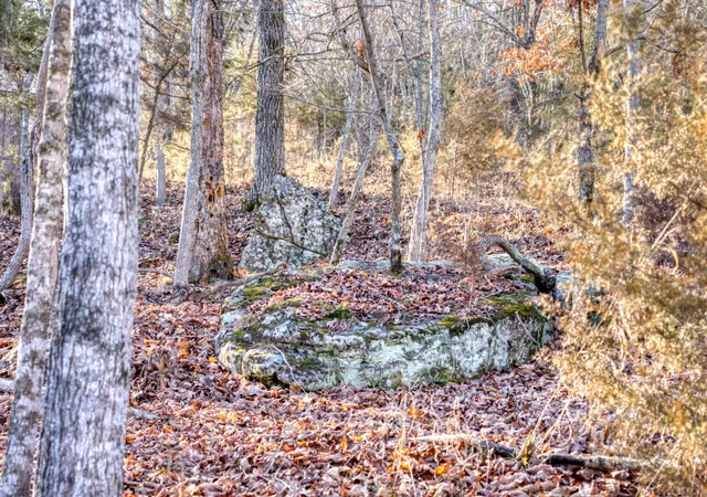 4th image of Valley View Dr, Eureka Springs, AR 72631 | MLS# 1268131