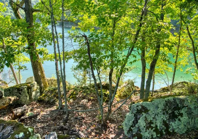 34th image of The Pointe Dr, Eureka Springs, AR 72631 | MLS# 1267957
