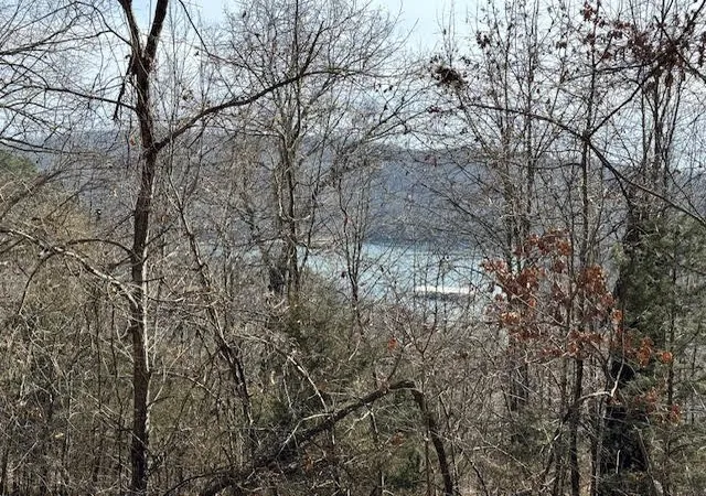 1st image of 101 Amity Way, Eureka Springs, AR 72632 | MLS# 1268089