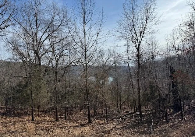 2nd image of 101 Amity Way, Eureka Springs, AR 72632 | MLS# 1268089