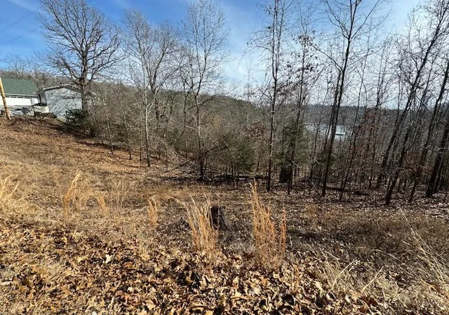 3rd image of 101 Amity Way, Eureka Springs, AR 72632 | MLS# 1268089