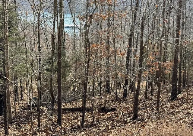 9th image of 101 Amity Way, Eureka Springs, AR 72632 | MLS# 1268089