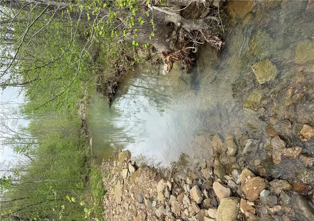 42nd image of Madison Cr 3350, Huntsville, AR 72740 | MLS# 1275803