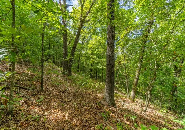 Homes for sale in Eureka Springs, AR | Tbd Cr 266, Eureka Springs, AR 72632 | MLS# 1280110