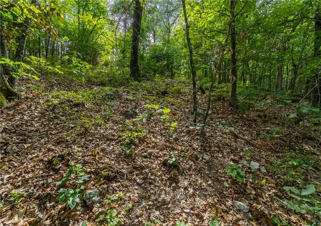 Homes for sale in Eureka Springs, AR | Tbd Cr 266, Eureka Springs, AR 72632 | MLS# 1280110