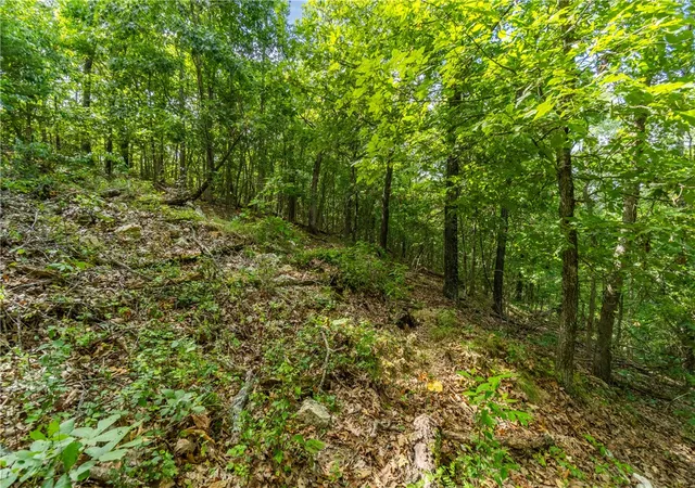 Homes for sale in Eureka Springs, AR | Tbd Cr 266, Eureka Springs, AR 72632 | MLS# 1280110