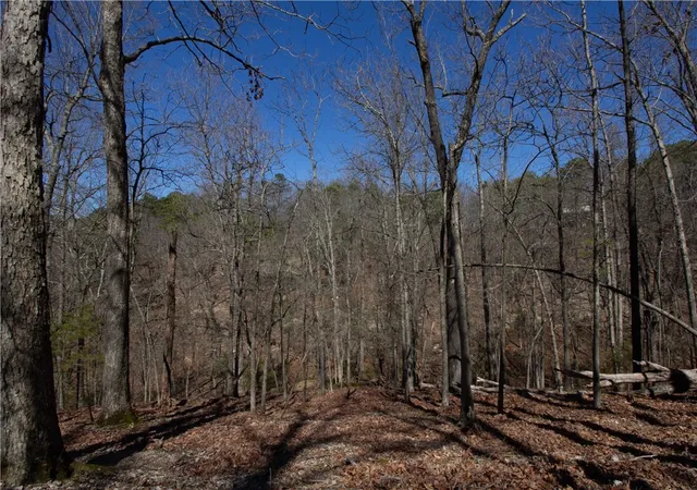 Photo 4 of Land for sale at Lot 11-12 Rocky Branch Rd, Rogers, AR 72756 | MLS# 1284320 | Listing updated on 2026-03-28
