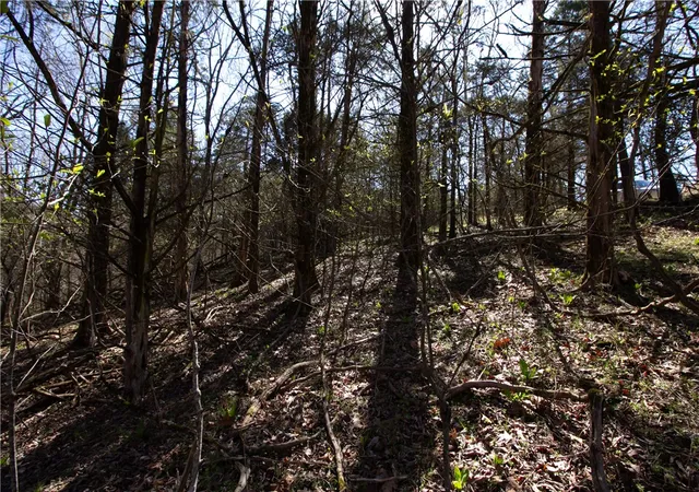 Photo 55 of Land for sale at Rocky Branch Rd, Rogers, AR 72756 | MLS# 1284266 | Listing updated on 2026-03-28