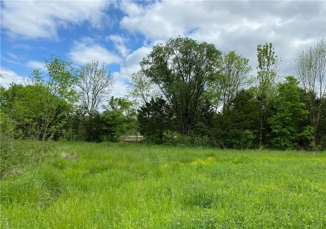 4th image of 672 Ac W Hwy 374, St Joe, AR 72675 | MLS# H148963