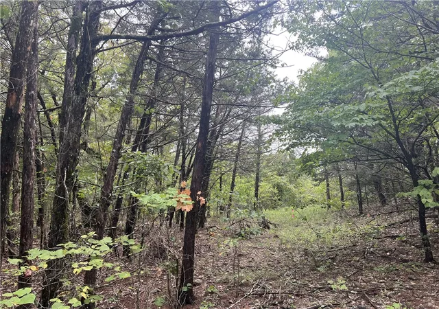 Homes for sale in Harrison, AR | Grassy Gap Rd, Harrison, AR 72601 | MLS# H149442