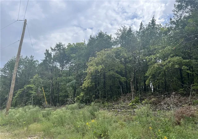 Homes for sale in Harrison, AR | Grassy Gap Rd, Harrison, AR 72601 | MLS# H149442