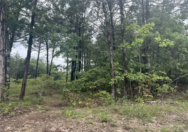 Homes for sale in Harrison, AR | Grassy Gap Rd, Harrison, AR 72601 | MLS# H149442