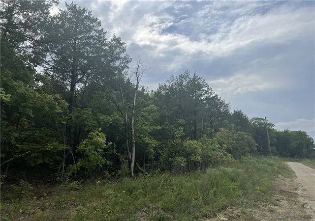 Homes for sale in Harrison, AR | Grassy Gap Rd, Harrison, AR 72601 | MLS# H149442