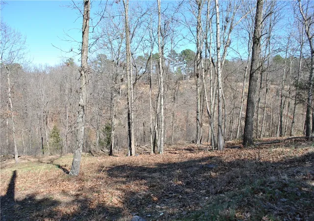 3rd image of Lot 103 E Robin Rd, Rogers, AR 72756 | MLS# 1284595