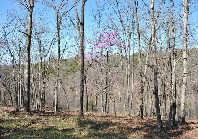 3rd image of Lot 102 E Robin Rd, Rogers, AR 72756 | MLS# 1284606