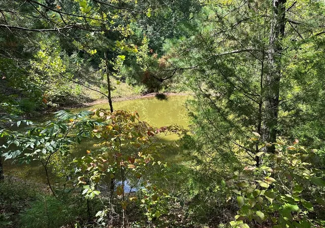 3rd image of Nc 3875, Hasty, AR 72640 | MLS# 1286127