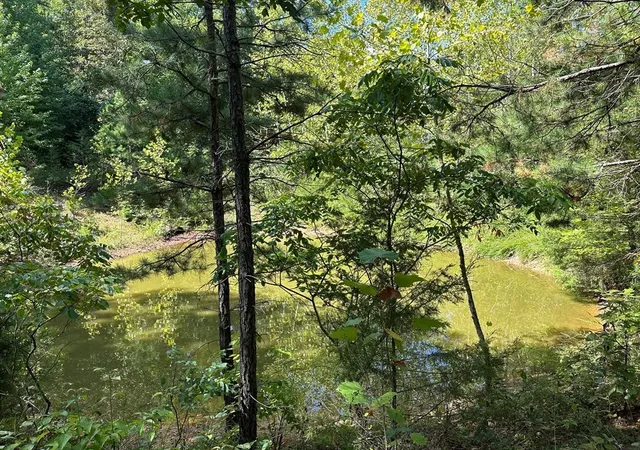 50th image of Nc 3875, Hasty, AR 72640 | MLS# 1286127