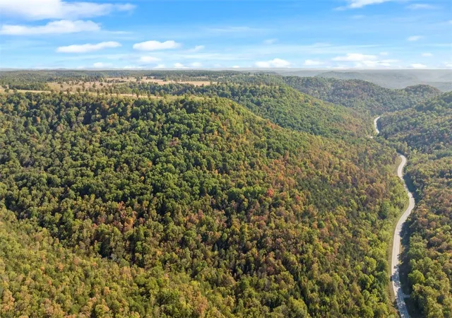 1st image of Hwy 221s, Berryville, AR 72616 | MLS# 1286289