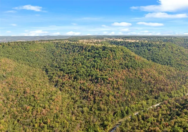 2nd image of Hwy 221s, Berryville, AR 72616 | MLS# 1286289