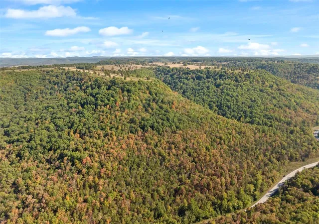 3rd image of Hwy 221S, Berryville, AR 72616 | MLS# 1286289