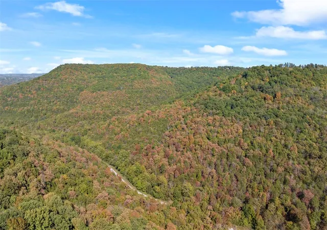 5th image of Hwy 221S, Berryville, AR 72616 | MLS# 1286289