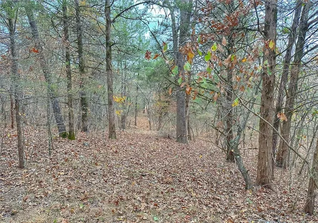 38th image of Mc 2034, Lead Hill, AR 72644 | MLS# 1290832
